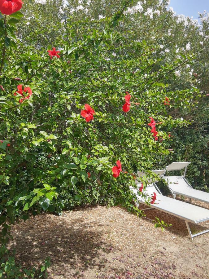 -Exclusive Private Villa- วิลลัสซีมีอุส ภายนอก รูปภาพ